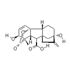 Гиббереллиновая кислота CAS 77-6-5